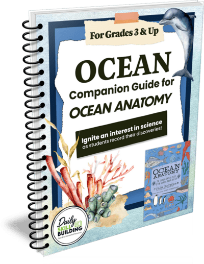 Ocean Companion Guide to Ocean Anatomy by Julia Ro