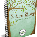 Nature Study with Trees & Leaves