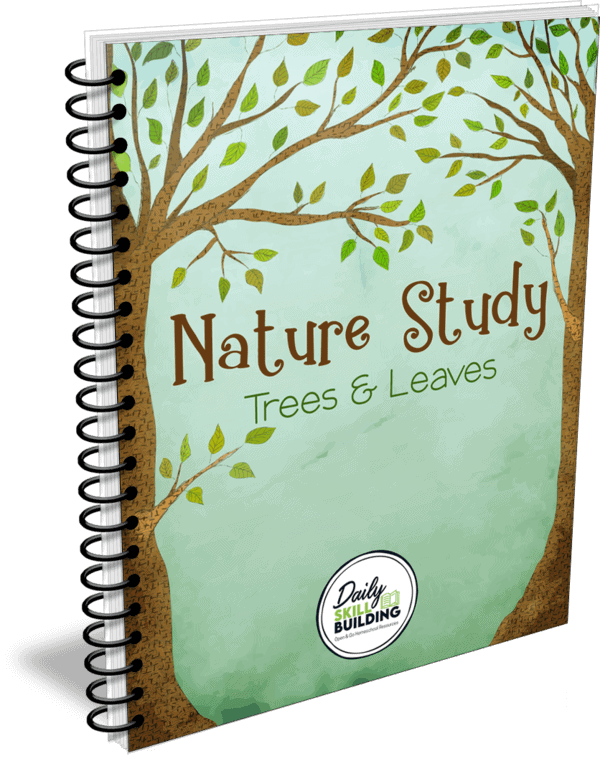 Nature Study with Trees & Leaves