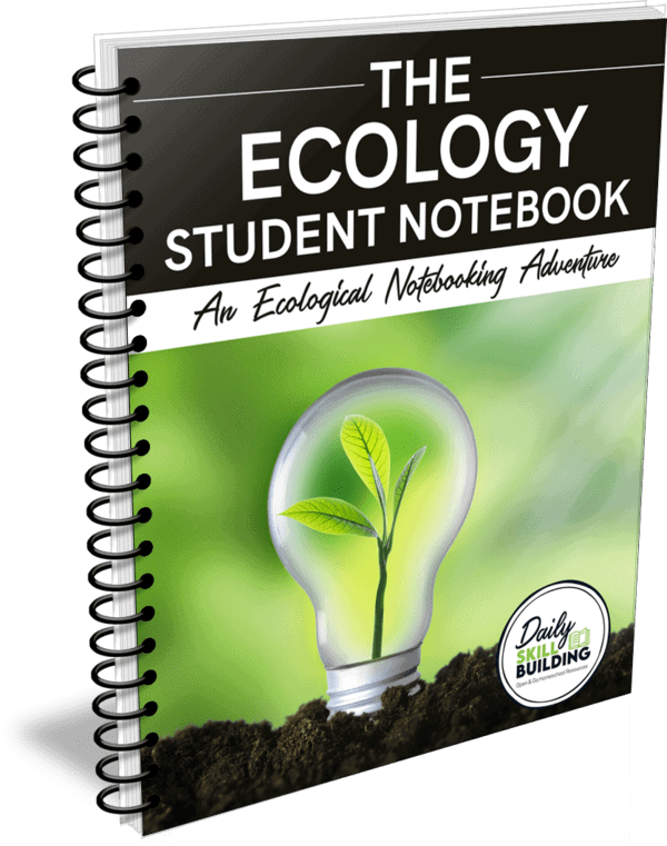 The Ecology Student Notebook workbook with a plant growing in a lightbulb as the cover and a white background