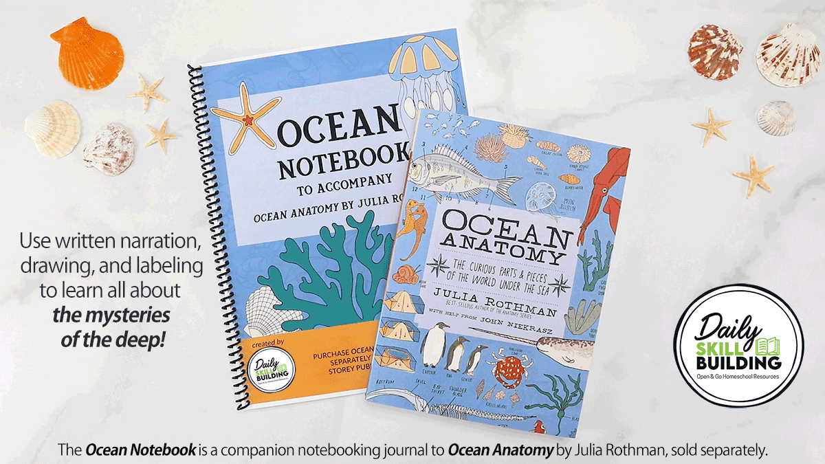 Ocean Anatomy book overlapping the Ocean Notebook book on top of a marble background with seashells scattered