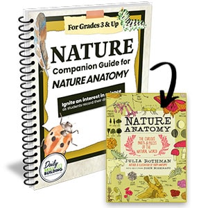 Nature Notebook + Nature Anatomy by Julia Rothman