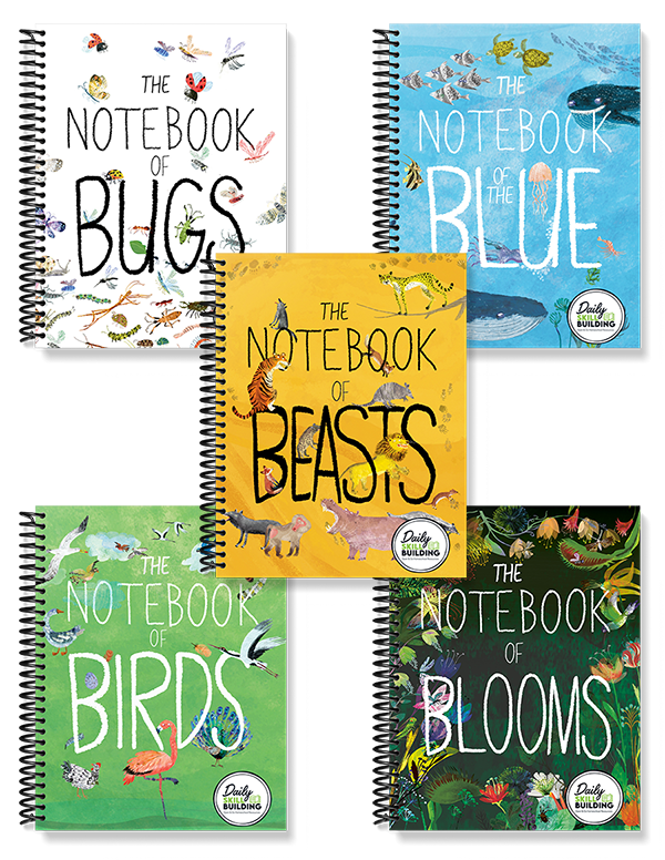 The Big Book Series Notebook Companions™ (Digital Bundle)