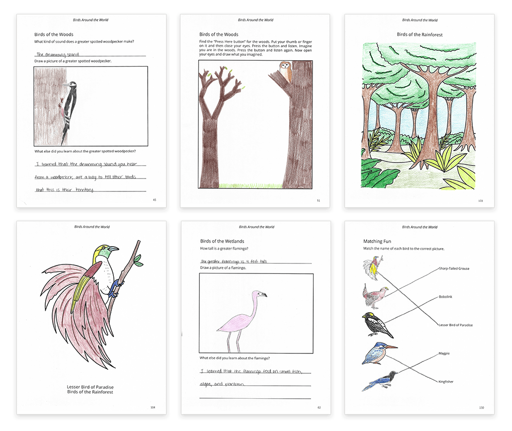 worksheets and coloring pages of birds and habitats completed by a student