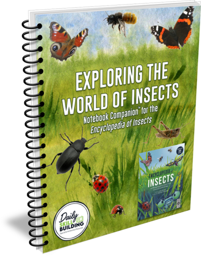 Exploring the World of Insects Notebook Companion™