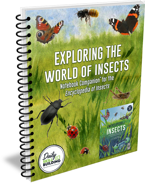 exploring-insects.webp