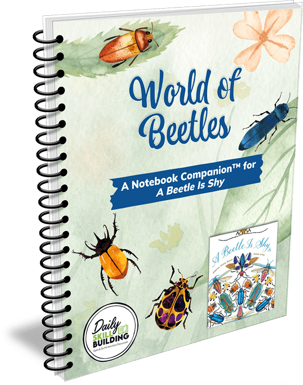 world-of-beetles01.webp