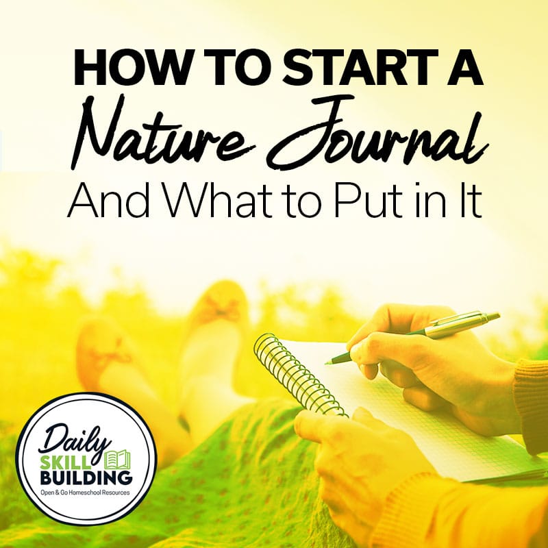 woman journaling in nature