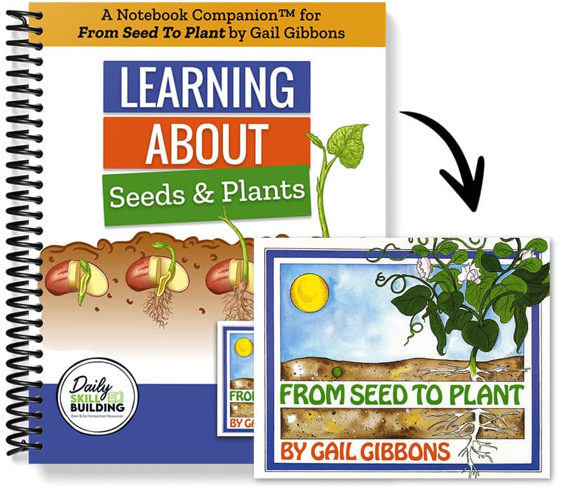 Learning About Seeds and Plants Notebook Companion for From Seed To Plant by Gail Gibbons