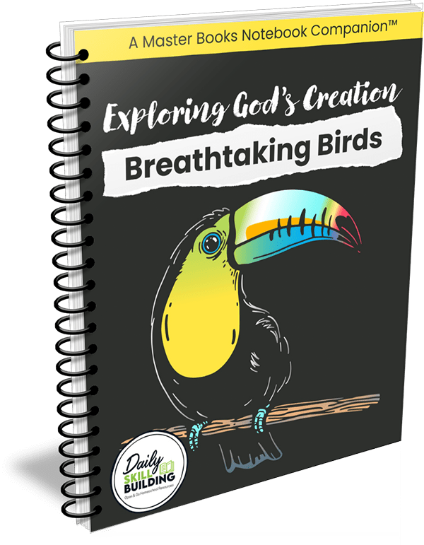 Exploring God's Creation: Birds