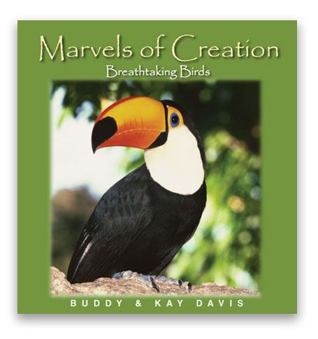 Marvels of Creation: Breathtaking Birds by Master Books