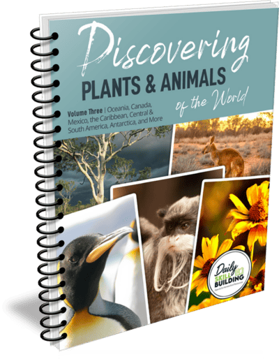 Discovering Plants and Animals Volume Three