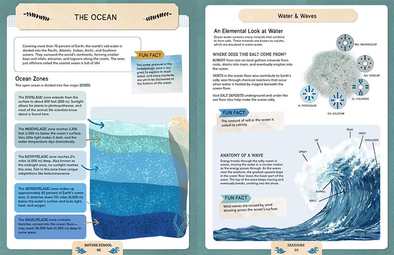 ocean lesson in Nature School