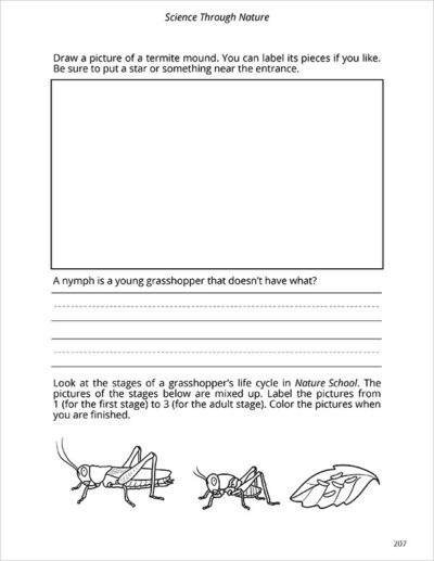 junior notebook page 12 for Nature School