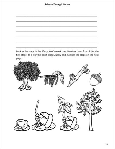 notebook page 3 for Nature School