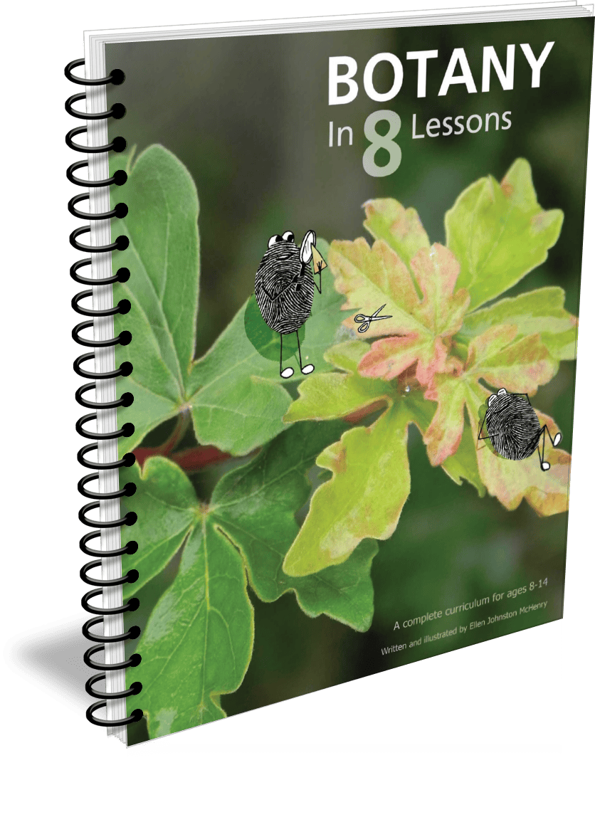 Botany in 8 Lessons