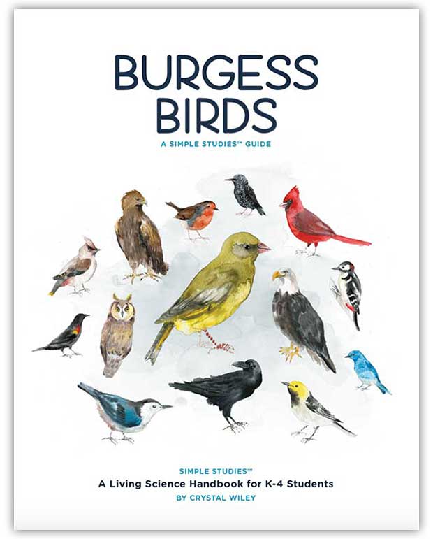 Burgess Birds: A Simple Studies Guide