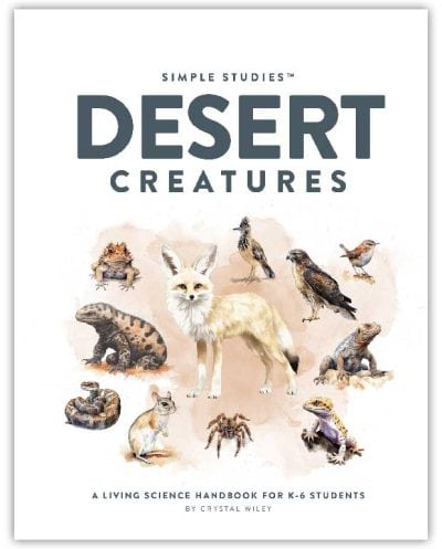 Simple Studies: Desert Creatures