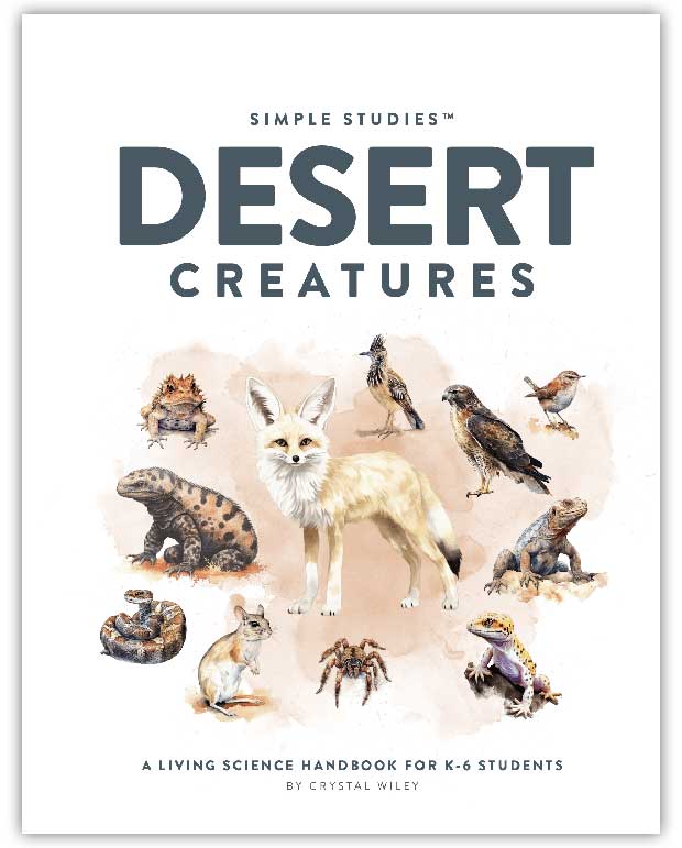 Simple Studies: Desert Creatures