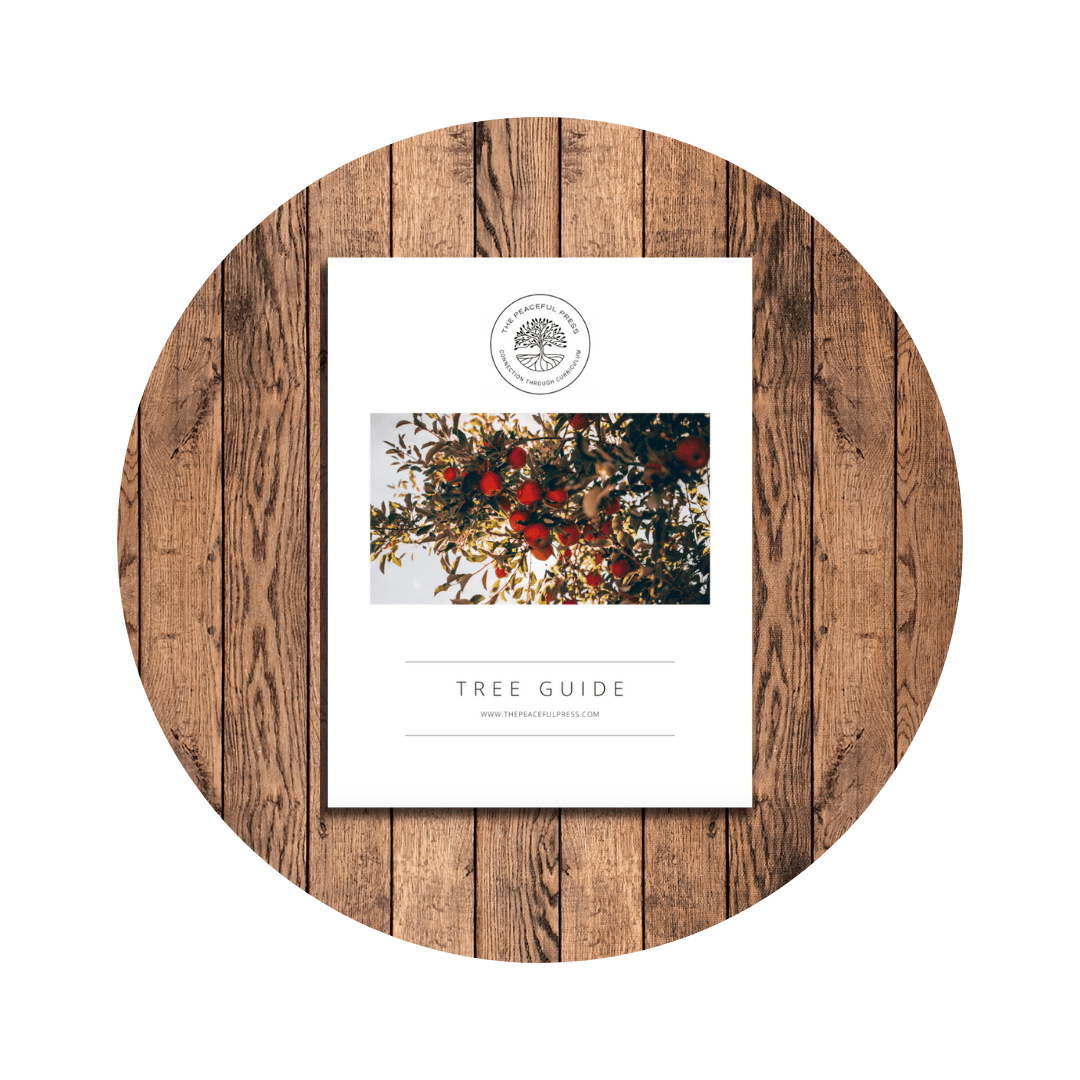 Nourishing Nature Kindergarten Tree Guide