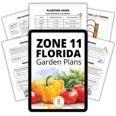 Zone 11 Florida Garden Plans