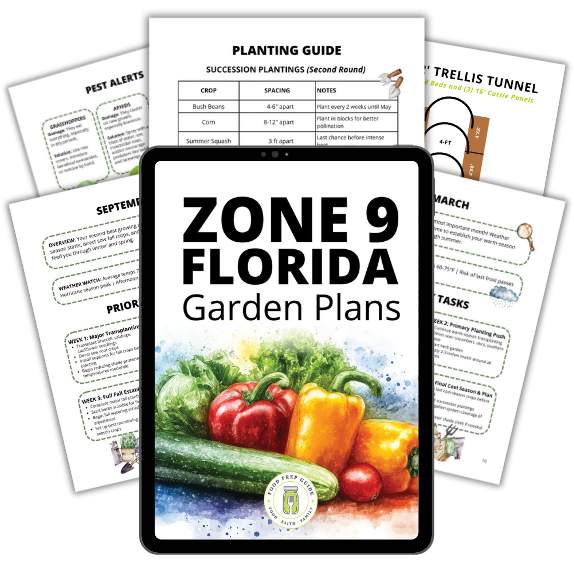 Zone 9 Florida Garden Plans - Image 2
