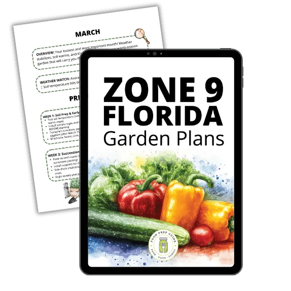 Zone 9 Florida Garden Plans - Daily Skill Building