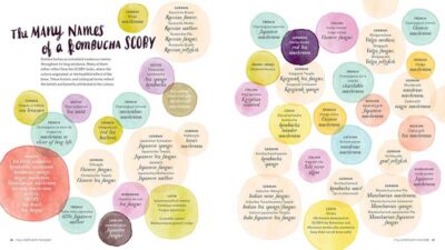 The Big Book of Kombucha - Image 7