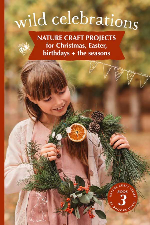 Wild Celebrations Book