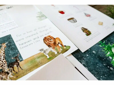 A Gentle + Classical Christmas - Image 6