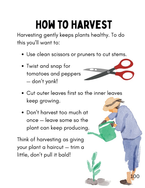 Let's Plan! A Student's Guide to Growing the Tower Garden Indoors - Image 22