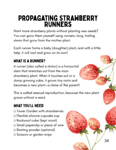 Let's Plan! A Student's Guide to Growing the Tower Garden Indoors - Image 10
