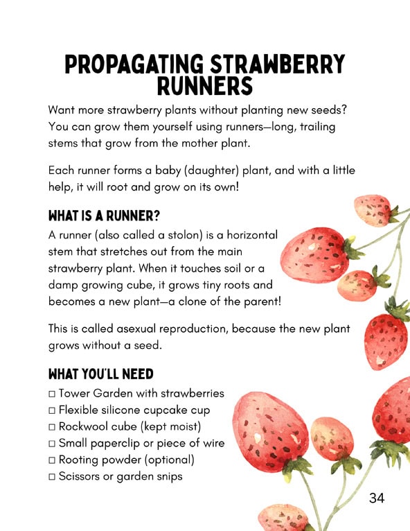 Let's Plan! A Student's Guide to Growing the Tower Garden Indoors - Image 10