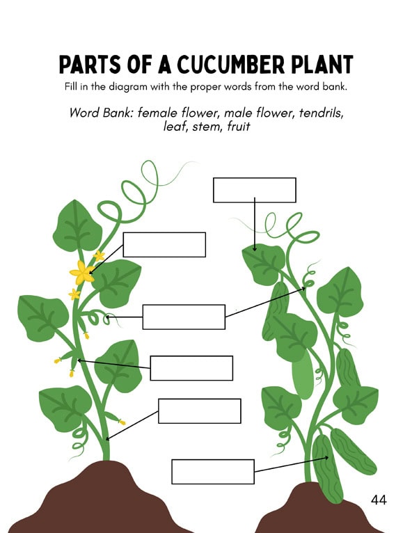 Let's Plan! A Student's Guide to Growing the Tower Garden Indoors - Image 14