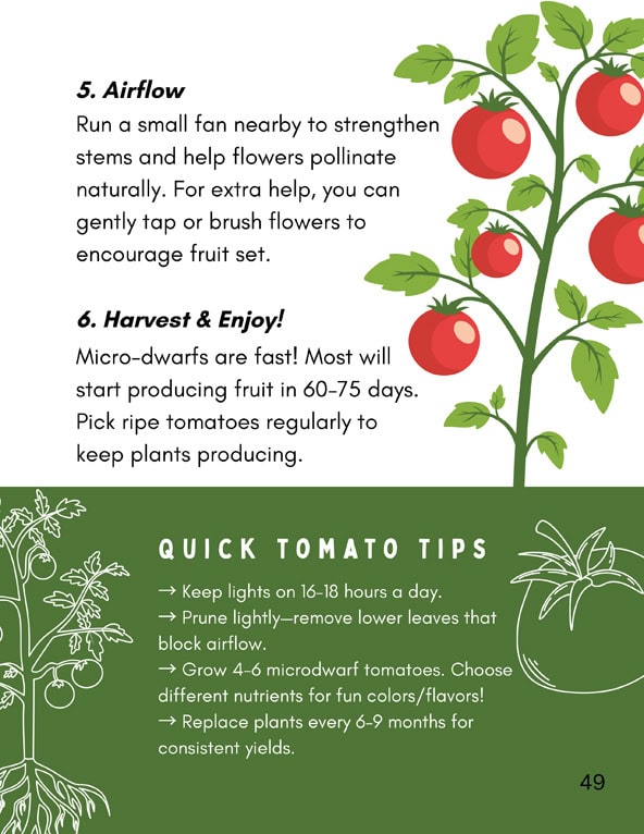 Let's Plan! A Student's Guide to Growing the Tower Garden Indoors - Image 15