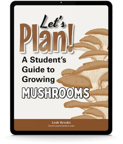 A Student's Guide To Growing Mushrooms