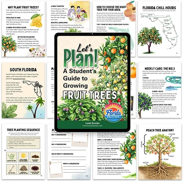 Let's Plan! A Student's Guide to Growing Fruit Trees (Florida