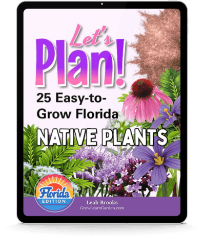 Let’s Plan! 25 Easy-to-Grow Florida Native Plants