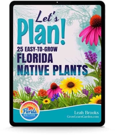 Let's Plan! 25 Easy-to-Grow Florida Native Plants