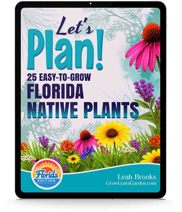 Let's Plan! 25 Easy-to-Grow Florida Native Plants