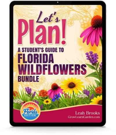 Let's Plan! Student's Guide to Florida Wildflowers