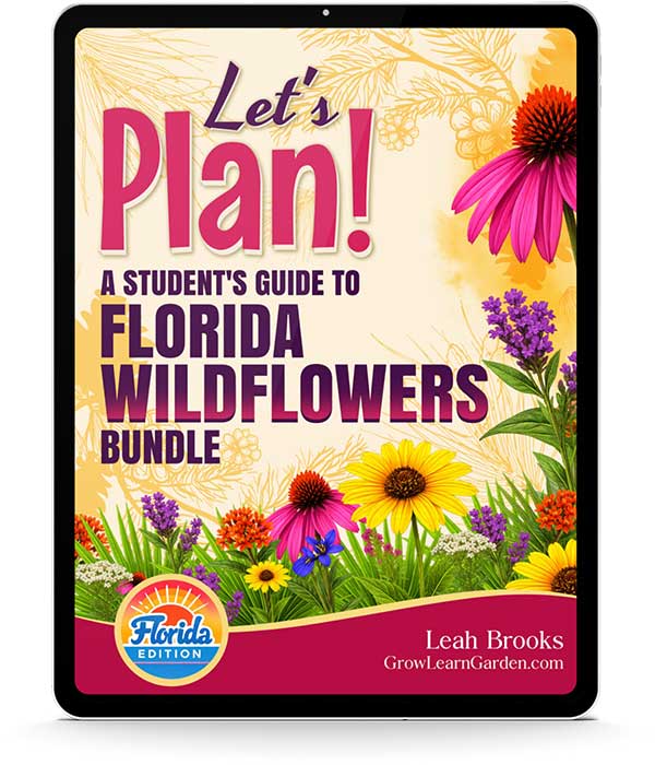 Let's Plan! Student's Guide to Florida Wildflowers