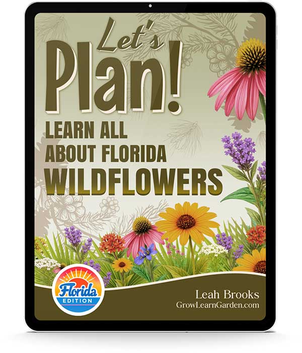 Let's Plan! Learn All About Florida Wildflowers