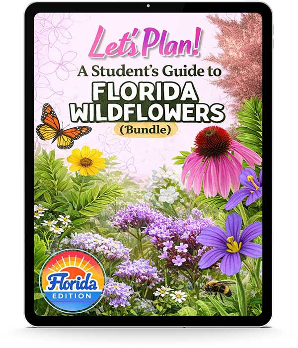 Let’s Plan! Student’s Guide to Florida Wildflowers Bundle