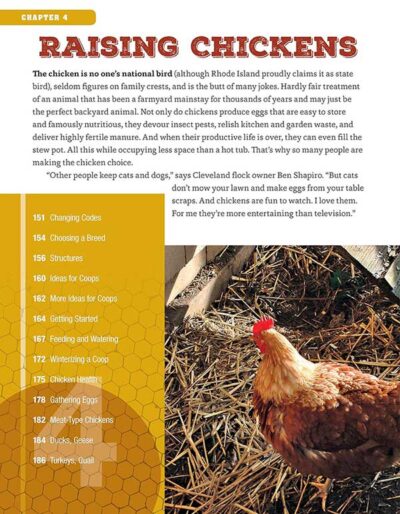 Backyard Homesteading—A Guide to Self-Sufficiency - Image 2