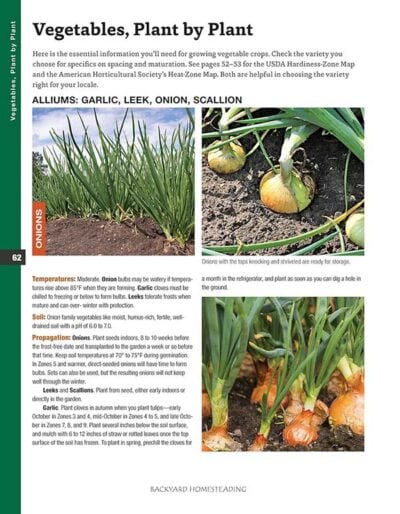 Backyard Homesteading—A Guide to Self-Sufficiency - Image 3