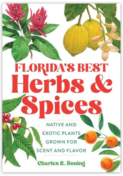 Florida's Best Herbs and Spices