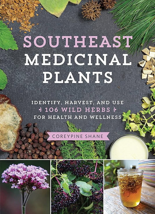 Southeast Medicinal Plants: Identify, Harvest, and Use