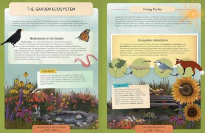 Nature School: In the Garden - Image 8
