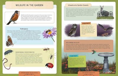 Nature School: In the Garden - Image 9